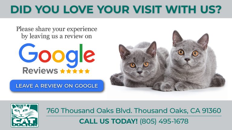 Leave Us A Review in Thousand Oaks, CA The Cat Doctor